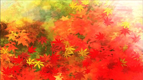 Gugure! Kokkuri-san: Red Maple Tree | Kureha's Days Spent Waiting in Vain! Maple Leaf Banner Discord, Kazuha Aesthetic, Pfp Backgrounds, Pretty Banner, Orange Pfp, Orange Banner, Green Maple Leaf, Notion Library, Anime Banner