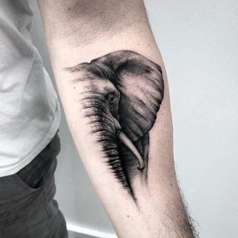 Elephant Head Tattoo, Elephant Tattoo Meaning, Elephant Tattoo Ideas, Tattoo Ideas For Guys, Tier Tattoo, Elephant Tattoo Design, Elephant Tattoo, Elephant Tattoos, Head Tattoos