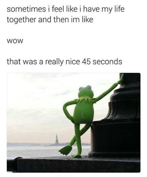 Funny Kermit Memes, Kermit Memes, Kermit Funny, Memes In Real Life, Teacher Memes, Kermit The Frog, Fresh Memes, Relationship Memes, Top Funny