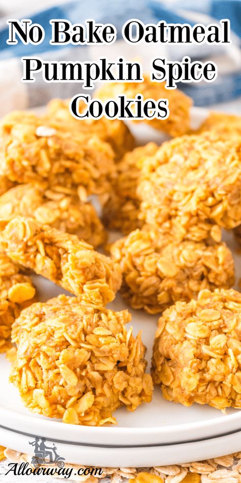 Pumpkin No Bake Cookies, Oatmeal No Bake, Pumpkin Spice Oatmeal, No Bake Oatmeal, Oatmeal No Bake Cookies, Baked Pumpkin Oatmeal, Pumpkin Oatmeal Cookies, Bake Pumpkin, Classic Cookies Recipes