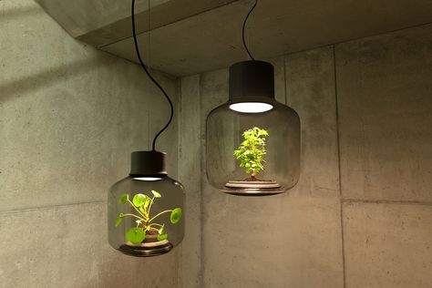 You love plants, plants love light, you love light, you'll both love the Mygdal plantlight! It's a revolutionary lighting solution not just because the luminaire is Kitchen Light, Deco Luminaire, Glass Lamps, Plant Lighting, German Design, Growing Indoors, Luz Natural, Studio Lighting, Mason Jar Lamp