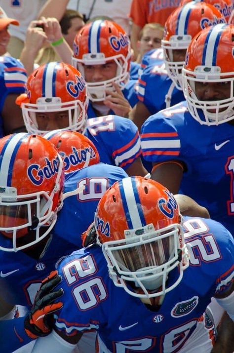 Uf Gator, Gator Football, Soccer Images, Uf Gators, Florida Football, Florida Gators Football, Chomp Chomp, Tailgate Gear, Gators Football