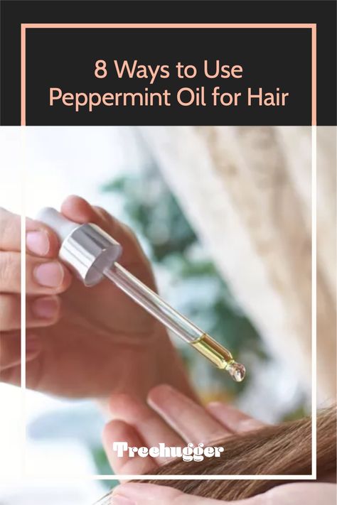 Here are eight ways to include peppermint oil in your hair care routine. Peppermint Oil For Hair, Conditioning Hair Mask, Non Toxic Makeup, Shampoo Bottles, Oil For Hair, Scalp Scrub, Peppermint Oil, Growth Serum, Essential Oils Rosemary