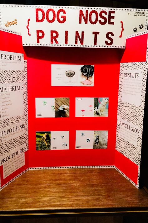 Dog Science Fair Projects, Science Fair Topics, Science Expirements, Middle School Science Fair Projects, 5th Grade Science Projects, Kids Experiments, Dog Science, Science Fair Projects Boards, Dog Nose Print