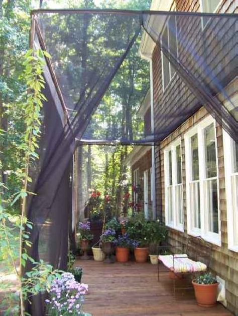 Mosquito Netting Curtains for a DIY Screen Patio Diy Patio Ideas, Mosquito Curtains, Porch Enclosures, Screened In Deck, Garden Canopy, Privacy Screen Outdoor, Outdoor Privacy, Screened In Patio, Renzo Piano