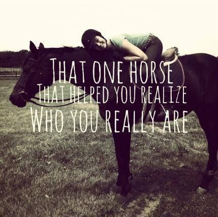 That one horse that helped you realize who you really are Rodeo Quotes, Equine Quotes, Horse Quotes Funny, Inspirational Horse Quotes, Horse Riding Quotes, Equestrian Quotes, Racing Quotes, Cowgirl Quotes, Riding Quotes