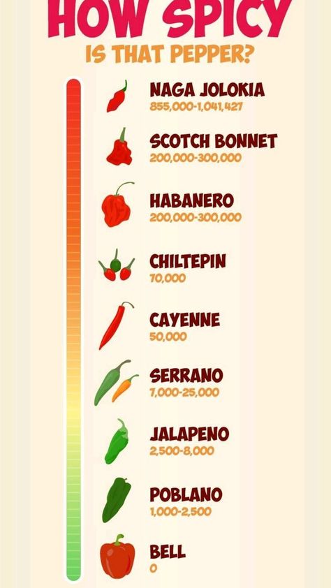 The Scoville Scale of Hotness infographic | Cooking tips, Stuffed peppers, Cooking basics Pepper Scale, Chili Pepper Sauce, Quick Sandwiches, Spice Mix Recipes, Cooking Measurements, Amazing Food Art, Hot Pepper Sauce, Homemade Chili, Food Diy