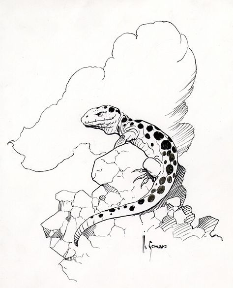 Rock Lizard Comic Art Lizard On Rock, Lizard Comic, Lizard Illustration, Lizard Drawing, Mark Schultz, Desert Lizards, Lizard Art, Lizard Tattoo, Sketchbook Assignments