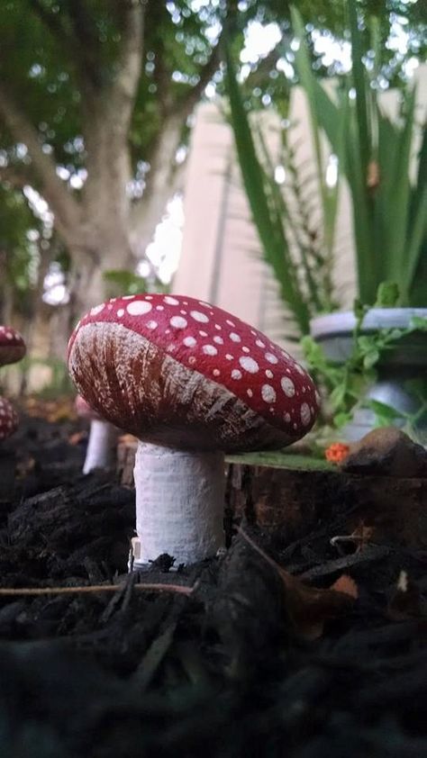 FAIRY MUSHROOM! Painted rock on painted wood stem Painted Mushrooms For Garden, Painted Mushrooms, Fairy Mushroom, Stone Paint, Bed Art, Rocks Painted, Drift Wood, Rock On, Flower Bed