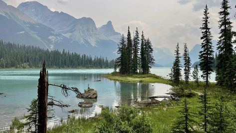 Canadian Landscapes Canadian Landscape, Natural Beauty, Beauty, Nature