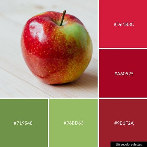 Apple | Manzana | Red and Green |Color Palette Inspiration. | Digital Art Palette And Brand Color Palette. Outside House Colors, Paint Color Combos, Green Branding, Art Palette, Art Account, Color Plan, Red Colour Palette, Palette Inspiration, Apple Coloring