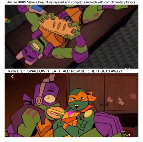 Donnie And Mikey Tmnt, Rottmnt Season 3, Rottmnt Donnie Funny, Rottmnt Donnie X Mikey, Rise Of The Teenage Mutant Ninja Turtles Mikey, Donnie Rottmnt Funny, Rotmnt Funny, Rise Of The Teenage Mutant Ninja Turtles Donnie, Rottmnt Sheldon