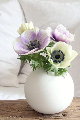 Sunflowers And Daisies, Anemone Flower, Happy Flowers, Beautiful Flower Arrangements, Acrylic Flowers, Botanical Flowers, Flower Beauty, Types Of Flowers, Flowers Nature