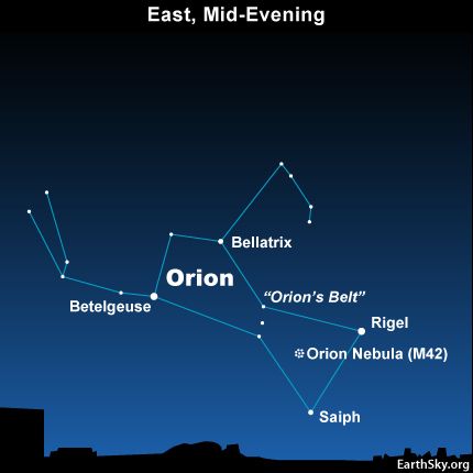 You might know Rigel and Betelgeuse, Orion's brightest stars. Now meet 2 more stars in Orion, called Bellatrix and Saiph. Space Knowledge, Nasa Solar System, Constellations In The Sky, Orion's Belt, Orion Constellation, University Of Denver, Orion Nebula, Star Gazing, Constellation Tattoos