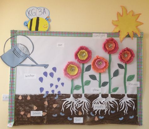 Plant life cycle bulletin board idea- Thank you Luanne for this inspiration Life Cycles Kindergarten, Life Science Classroom, Flower Life Cycle, Door Bulletin Boards, Science Bulletin Boards, Planting For Kids, Plants Unit, Spring Bulletin Boards, School Displays