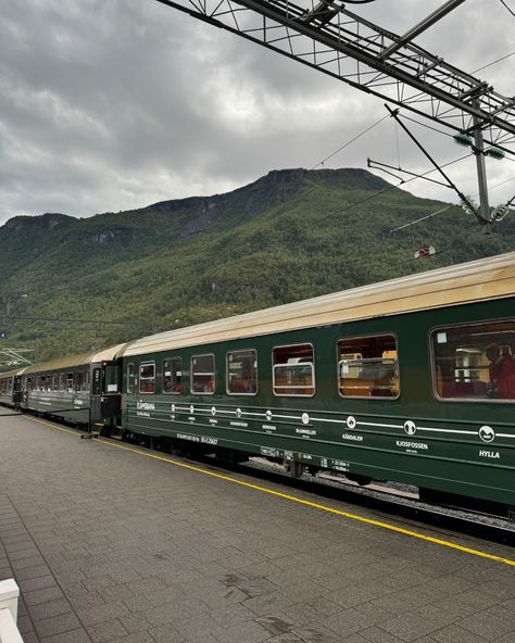 Obviously the best part of the trip 🏔️💦🌌🍓🏞️ In this post: • Fjords exploring Hiking Balestrand Aurora borealis Waterfalls Train from Flam to Myrdal • . . . #norway_nature #norwayfjords #norwaytrip #norwayphotography #naturephotography #parisienne #parisianlifestyle #ootdshare #fallfashion #falloutfits #pinterestgirl Myrdal Norway, Norway Nature, Norway Fjords, Parisian Lifestyle, Pinterest Girls, The Trip, Aurora Borealis, Norway, Aurora