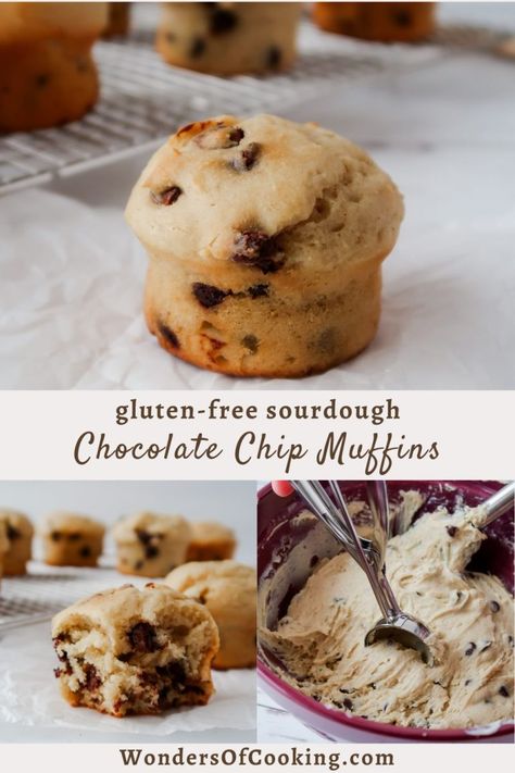 Gluten Free Sourdough Chocolate Chip Muffins - WOC Gluten Free Sourdough Muffins, Gluten Free Sourdough Discard Recipes, Gluten Free Sourdough Discard, Sourdough Discard Recipes, Gluten Free Sourdough Starter, Cleaning Eating, Sourdough Muffins, Gluten Free Chocolate Recipes, Sourdough Starter Discard Recipe