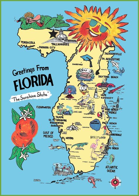 Pictorial travel map of Florida Map Of Florida Beaches, Silver Springs Florida, Florida State Map, Beach Disney, Florida Images, Apron Ideas, Florida Map, Design Cup, Riviera Beach