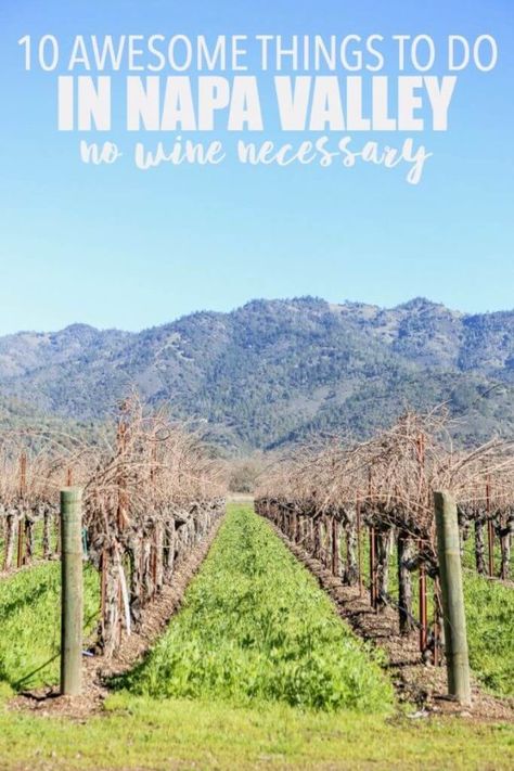 Things To Do In Napa, Napa Valley Vacation, Napa Valley California, Napa Trip, Napa Valley Trip, Napa Valley Wine, Party Plan, Wine Country California, Usa Travel Guide