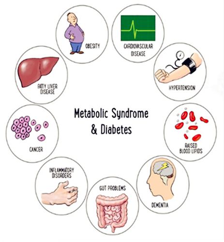 There are large numbers of #biomarkers being used to evaluate the #metabolic #syndrome, such as triglycerides, HDL-C, glucose, and urinary #albumin. Elabscience provides related metabolism assay kits and metabolic pathway diagrams for metabolic #diseases researches. Low Blood Sugar Symptoms, How To Control Sugar, Lower Blood Sugar Naturally, Sugar Diet, Blood Sugar Diet, Low Blood Sugar, Motivation Poster, Blood Sugar Control, Healthy Work Snacks