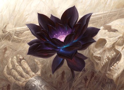 Black Lotus — The Art of Chris Rahn Black Lotus Wallpaper, Lotus Wallpaper, Black Lotus, Lotus, Human, Purple, Black, Art