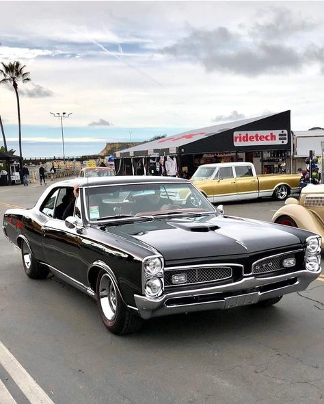 1966 Pontiac GTO 1966 Pontiac Gto, 1967 Gto, 1967 Pontiac Gto, Gto Car, 1966 Gto, Midnight Club, Old Muscle Cars, Classic Racing Cars, Cool Car Pictures