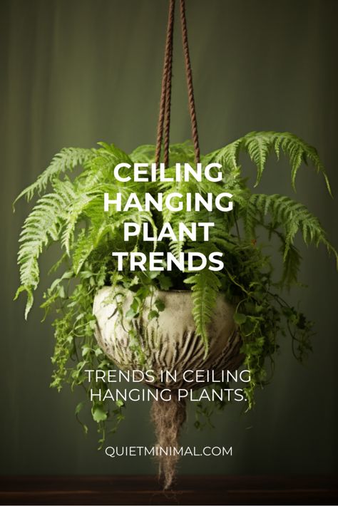 Add elegance to your ceiling decor with hanging plants. Our guide features the best plants and styling ideas. #ElegantPlants #CeilingDecor #IndoorGreenery #PlantCare Hanging Plants Interior Design, Hanging Candle Holder From Ceiling, Hanging Plants Indoor Ideas, Hanging Plant Ideas, Indoor Hanging Plants, Hanging Potted Plants, Hanging Indoor Plants, Hanging Ferns, Wall Hanging Decorations