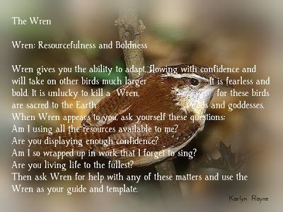 Crone Cronicles: Totem ~ The Wren Wren Symbolism, Wren Tattoo, Native American Astrology, Twin Flame Quotes, Spirit Animal Meaning, Totem Animals, Animal Meanings, Animal Tarot, Animal Spirit Guides