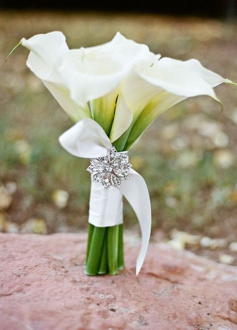 The brooch adds sparkle to this simple elegant white calla lily bouquet / http://www.himisspuff.com/spring-summer-wedding-bouquets/5/ White Calla Lily Bouquet, Simple Bouquet, Calla Lily Wedding, Calla Lily Bouquet, Summer Wedding Bouquets, Lily Wedding, Sedona Wedding, Lily Bouquet, Prom Flowers