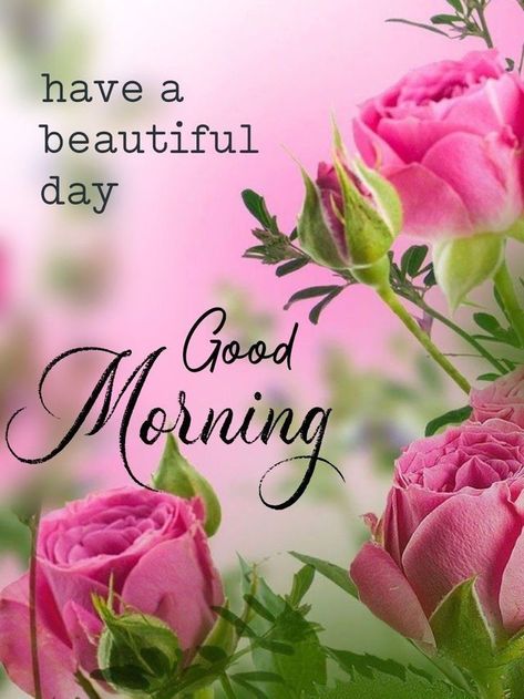 सुप्रभात संदेश, Good Morning Wishes Friends, Good Morning Inspiration, Good Morning Nature, Good Morning Flowers Quotes, Good Morning Roses, Good Morning Beautiful Flowers, Good Morning Flowers Pictures, Good Morning Flowers Gif