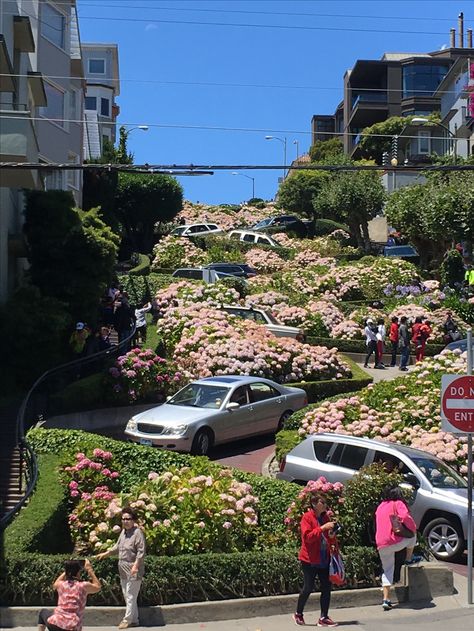 San Francisco Travel Guide, Lombard Street, California Summer, Living In San Francisco, San Francisco Travel, California Love, San Fran, Pretty House, Travel Goals