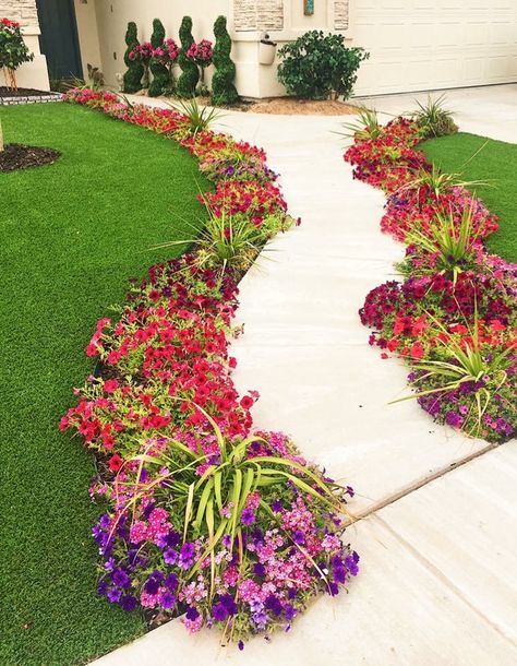 Flower Walkway Front Yards, Walkway Flower Bed Ideas, Flower Walkway, Fall Landscaping Front Yard, Garden Edging Ideas Cheap, Fall Landscaping, Shed Landscaping, Front Lawn Landscaping, Small Front Yard Landscaping