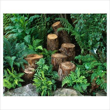 Stump Garden, Garden Basics, Dream Backyard Garden, Pond Garden, Ferns Garden, Garden Corner, Backyard Garden Layout, Beach Garden, Small Backyard Gardens