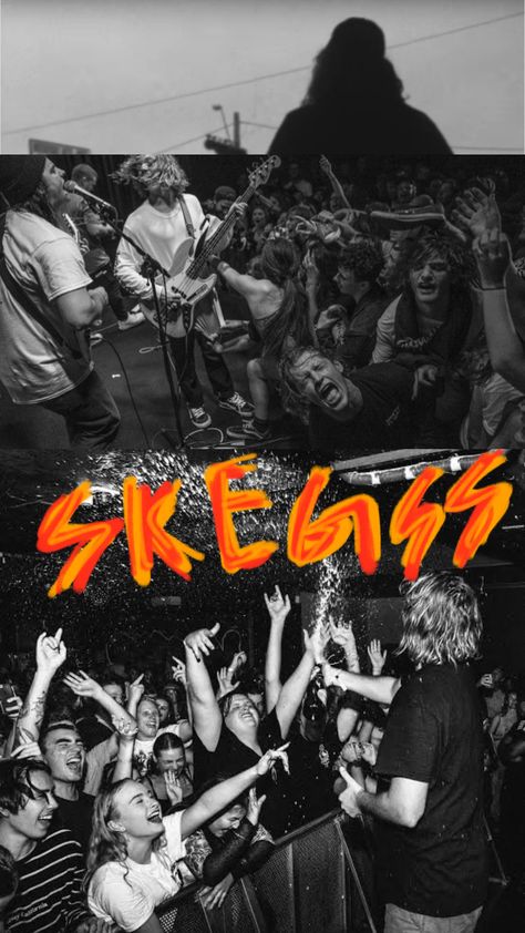 Skegss Aesthetic, Australian Indie Aesthetic, Skegss Poster, Skegss Band, Spacey Jane, Skateboard Room, Surfer Aesthetic, Sea Bands, Hippie Posters