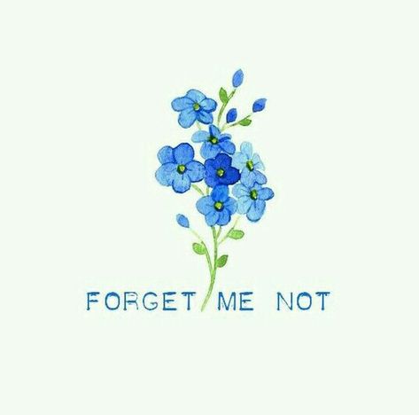 Drawing Forget Me Not Flower, Watercolor Forget Me Not, Aesthetic Forget Me Not, Aesthetic Forget Me Not Flower, Forget Me Not Botanical Illustration, Olive Branch Tattoo, Cute Simple Wallpapers, Flower Therapy, Language Of Flowers