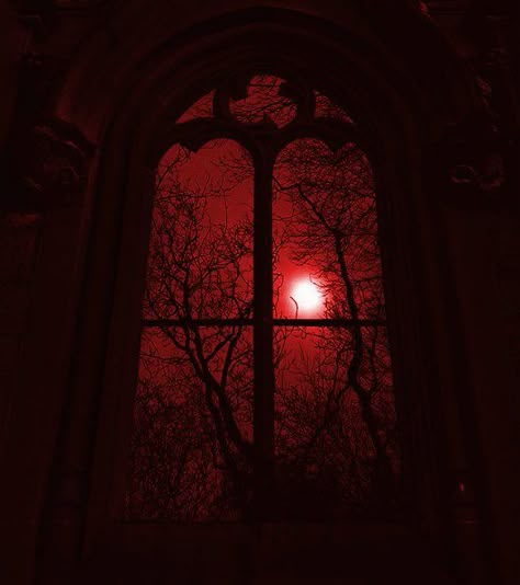 Lilith Aesthetic, Nona Limmen, Red Widget, Dark Red Aesthetic, Vampire Core, Vampire Vibes, Red Core, Red Aesthetics, Victorian Vampire