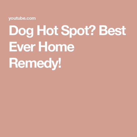 Dog Hot Spot? Best Ever Home Remedy! Dog Hot Spot Remedy Diy, Hot Spots On Dogs, Dog Hot Spots, Animal Health, Hot Spots, Homemade Dog, Diy Dog Stuff, Pet Health, For Dogs