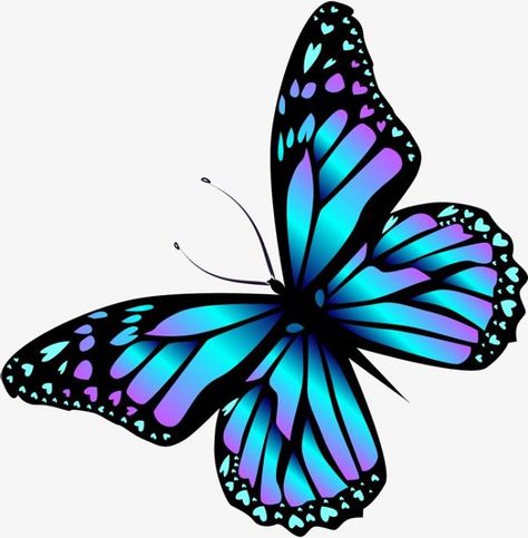 5 Ultimate Steps To Draw A Beautiful Butterfly Drawing - Easy drawing club #butterflydrawing #butterflydrawingeasy #butterflydrawingsimple #butterflydrawingeasystepbystep #butterflydrawingpencil #butterflydrawingcolorful #butterflydrawingaesthetic #butterflydrawingtattoo #butterfly # drawing #art #animaldrawing #drawingideas #drawingideascreative #drawings #easydrawing Beautiful Butterfly Drawing, Butterfly Drawing, Purple Butterfly, Blue Butterfly, To Draw, Purple, Blue