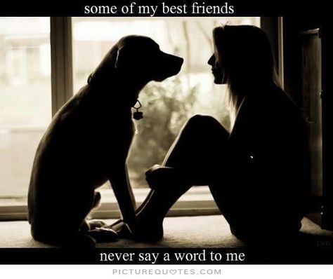 Dog Quotes Love, 21st Quotes, Eric Northman, Dog Rules, Memes Humor, Vet Tech, Animal Quotes, Dog Quotes, 귀여운 동물