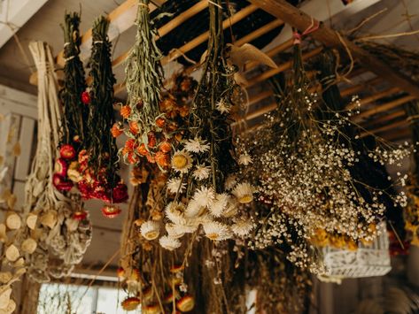 Drying Flowers Aesthetic, Herbs Hanging From Ceiling, Spice Drying Rack, Dried Plants Aesthetic, Dried Flower Farm, Drying Flowers Hanging, Dried Herbs Aesthetic, Dried Herbs Hanging, Dry Flowers Aesthetic