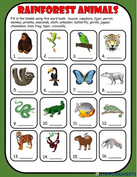 Rainforest Animals Rainforest Worksheets Preschool, Rainforest Animal Activities, Rainforest Animals Printables, Rainforest Layers Printable, Amazon Rainforest Animals Free Printable, Rainforest Worksheets, Rainforest Crafts, Rainforest Animals, Animal Printables