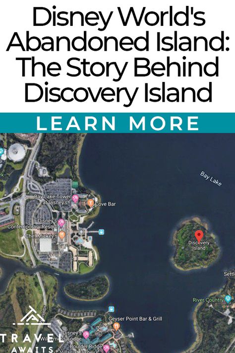 Disney World's Abandoned Island: The Story Behind Discovery Island Discovery Island, Shtf Survival, Contemporary Resort, Honeymoon Resorts, Island Park, Island Map, Disney Memories, Disney Facts, Disney World Parks