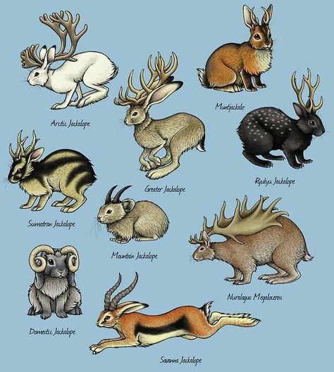 Jackalope Painting, Myths & Monsters, Mythical Animal, Fantasy Beasts, Cute Fantasy Creatures, Creature Drawings, Fantasy Creatures Art, Mythical Creatures Art, Mythological Creatures