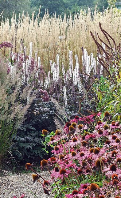 Prairie Planting, Piet Oudolf, Prairie Garden, Australian Garden, Grasses Garden, Have Inspiration, Plant Combinations, Ornamental Grasses, Garden Cottage