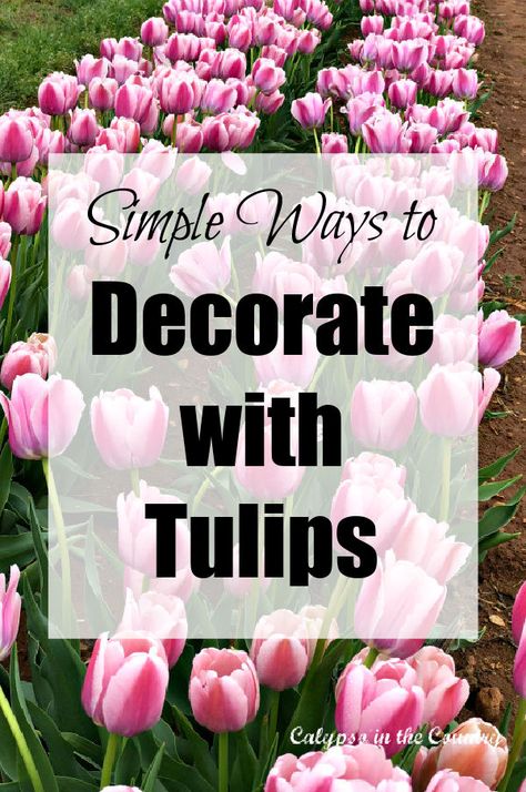 A collection of spring decorating ideas inspired by tulips! From spring table settings with tulips to spring crafts, here are a bunch of ideas to decorate with tulips in your home. Tulip decor inspiration from around the internet. tulip bouquet, tulip wreath, tulip diy, tulip arrangments, tulip festival. Decorating With Tulips, Tulips Table Decor, Faux Tulips Decor, Tulip Display Ideas, Tulip Decorations, Tulip Arrangements, Tulip Wedding Decor, Tulip Arrangement Ideas, Tulip Table Decor