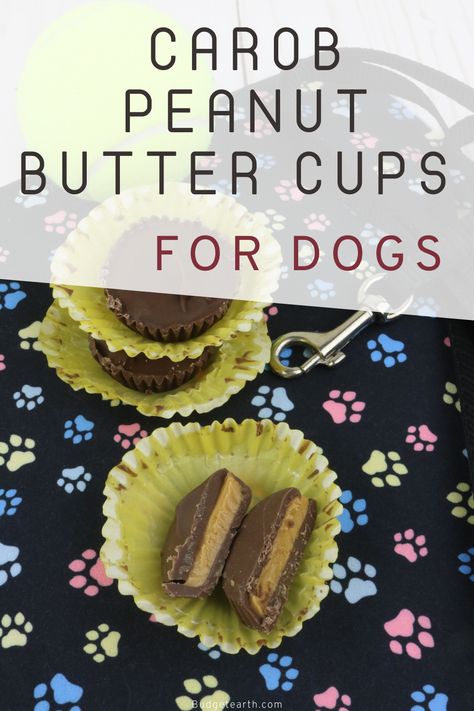 Looking for a yummy, peanut butter cups for dogs recipe that doesn't contain chocolate? Check out this delicious dog treat recipe featuring carob chips here! Baby Treats, Mini Peanut Butter Cups, Dogs Treats, Peanut Butter For Dogs, Pet Treats Recipes, Homemade Peanut Butter Cups, Easy Dog Treat Recipes, Dog Biscuit, Easy Dog Treats