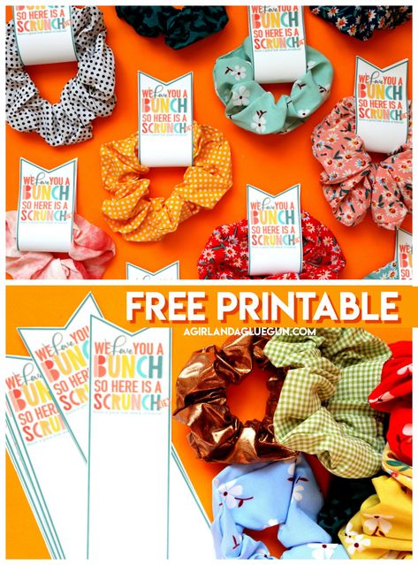 Scrunchie gift with free printable! - A girl and a glue gun Easy Gift Idea, New Mom Gifts, Handmade Cards Diy, Learn Through Play, Mason Jar Crafts Diy, Work Diy, Creative Craft, Mason Jar Diy, Mason Jar Crafts