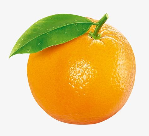 orange clipart,fruit clipart,orange,fruit All Fruits Images, Orange Images, Image Orange, Orange Drawing, Orange Clipart, Fruits Clipart, Fruit Images, Oranges Fruit, Png Fruit