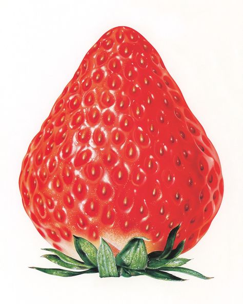 martina on Twitter: "masao saito, 1982 https://t.co/2MupCdvZRP" / Twitter Fruit Icons, Fruit Photography, Fruit Illustration, Airbrush Art, Arte Inspo, Black And White Drawing, Bottle Design, Art Reference Photos, Collage Art