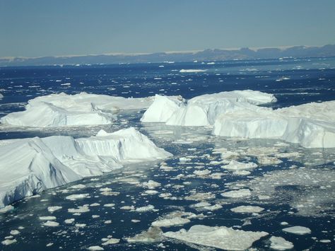 New research shows that the behavior of Greenland's vast ice sheet might be too complicated to capture using current methods and scientists might be underestimating Greenland's ice loss. This photo shows icebergs floating at Jakobshavn, one of four glaciers that scientists typically use to predict how all 242 of Greenland's glaciers will melt. Dora Drawing, Glaciers Melting, Ice Sheet, Environmental Research, Ice Melting, Science Photos, Amazing Images, On Live, Sea Level